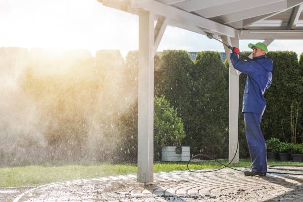 Best Driveway Pressure Washing  in Woodlawn Beach, FL