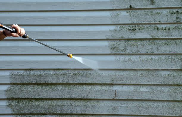 Best Sidewalk and Walkway Cleaning  in Woodlawn Beach, FL